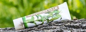 Bao bì tuýp nhựa thân thiện môi trường